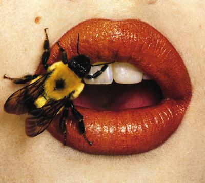 bee stung lip serum